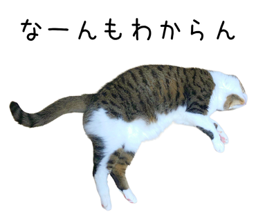 期待値が予想できるようなテストコードにする