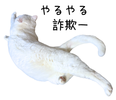 ワイヤーフローとは何か？ そして実務でどう使えるかを考えてみた