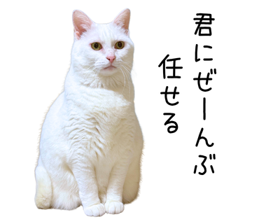 Hugo の Sass トランスパイル機能を使ってみたら便利だった