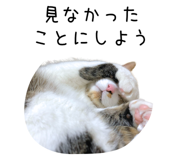 ModelForm でフィールド指定する際は fields 属性を使う