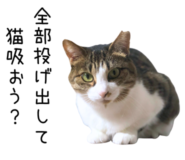 お気に入りの LGTMeow を貼っておく🐈️