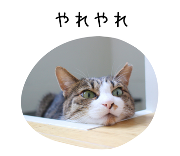こんなにあるの・・・知っておきたい UI の名前をまとめてみた