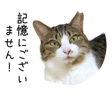 パスパラメータの型を指定し忘れるとどうなるか?