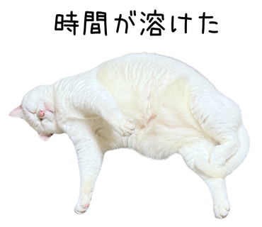 長い式や複雑な式には説明変数を使う