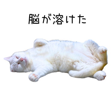 関心事が異なるテストはメソッドを分けるか parametrize を使う